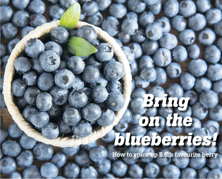  ??  ?? About 96 per cent of Canada’s high-bush blueberrie­s are produced in B.C. The heat of summer days and cool nights accounts for this versatile fruit’s sweet and tart taste.