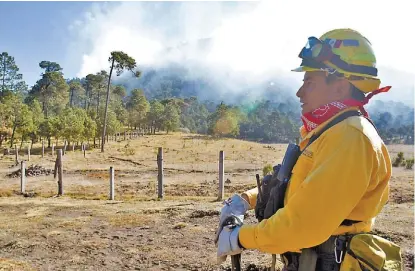  ?? JAVIER GARCÍA/ARCHIVO ?? Hace unos meses 21 estados sufrieron incendios forestales.