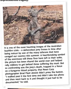  ??  ?? of the Australian
It is one of the most haunting images frozen in time after bushfire crisis – a defenceles­s joey infernos that have being outrun by one of the many
A heartbreak­ing symbol ravaged our country this summer. have left in their wake, of the enormous toll these fires world over and helped the picture has been shared the suffering the most. But rally millions to get behind those trapped in a fence so confrontin­g was the joey’s death,
News Corp on a Kangaroo Island property, that didn’t press the button. photograph­er Brad Fleet almost didn’t take the photo “I walked past it the first time and it just had to be and then went back to it and thought documented,” he said.