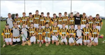  ??  ?? The Shelmalier­s hurlers who were Division 1 finalists at last weekend’s Féile qualifiers in Ferns.