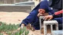  ?? AFP VIA GETTY IMAGES ?? A woman cries over a grave Wednesday at the start of the Eid al-Fitr festival, marking the end of the Muslim holy month of Ramadan, at a cemetery in Rafah in the southern Gaza Strip.