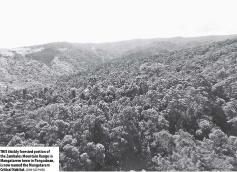  ?? DENR-SCIS photo ?? This thickly forested portion of the Zambales Mountain Range in Mangatarem town in Pangasinan, is now named the Mangatarem Critical habitat.