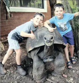  ?? PICTURE: MOTSHWARI MOFOKENG ?? GRINNING TRIO: Admiral the tortoise with twins, Joshua and Matthew Marais, at Mitchell Park Zoo.
