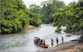  ?? ?? Peligro. Cientos de personas han perdido la vida en esta selva.