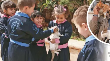  ??  ?? 敘利亞兒童與貓玩耍。
（歐新社）名男子身上。（歐新社示意圖）