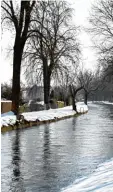  ?? Foto: Silvio Wyszengrad ?? Augsburg Am Herrenbach sollen zahlreiche Bäume gefällt werden.