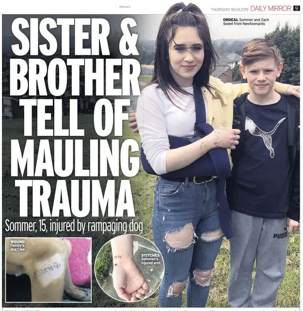  ??  ?? WOUND Family’s dog Cleo STITCHES Sommer’s injured arm ORDEAL Sommer and Zach Sweet from Newtownard­s