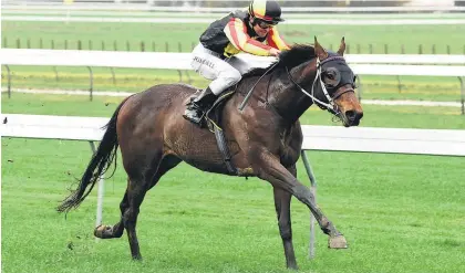  ?? Picture / Race Images ?? Manhattan Street is well clear of his rivals in the Ryder Stakes at Otaki on Saturday.