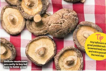  ??  ?? Shiitake mushrooms are costly to buy but easy to home-grow