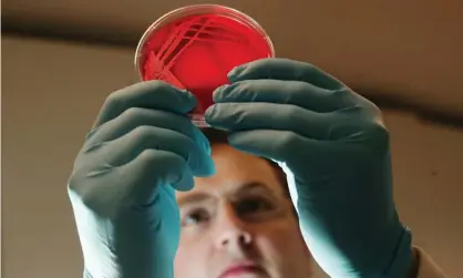  ??  ?? The vaccine will begin animal trials at the Public Health England labaratory at Porton Down next week. Photograph: Martin Argles/The Guardian