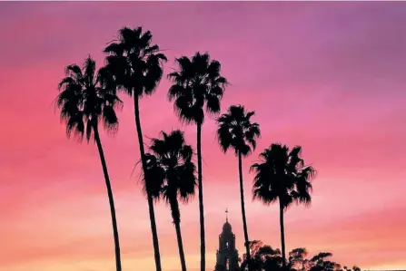  ?? SPECIAL TO THE EXAMINER ?? Palm trees are silhouette­d at dusk outside the Museum of a Man, Balboa Park in San Diego.