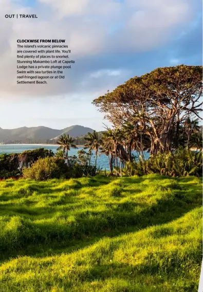  ??  ?? CLOCKWISE FROM BELOW
The island’s volcanic pinnacles are covered with plant life. You’ll find plenty of places to snorkel. Stunning Makambo Loft at Capella Lodge has a private plunge pool. Swim with sea turtles in the reef-fringed lagoon or at Old Settlement Beach.