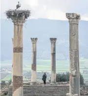  ??  ?? A tourist visits the pillars of the ruined Capitol, once a temple to Jupiter, topped with a stork’s nest, in the ruined Roman city of Volubilis.