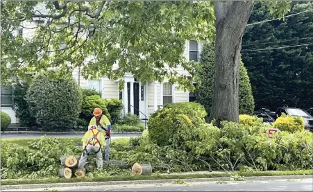  ?? JESSICA DAMIANO VIA AP ?? A profession­al tree crew in Glen Head, N.Y., safely removes and disposes of tree branches, as should be done in the wake of damaging storms.