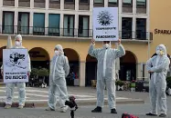  ??  ?? Flash mob Alcuni dei manifestan­ti ieri mattina in piazza Walther: tra gli aderenti alla protesta anche «Extinction rebellion SouthTyrol» e «Fridays for future»