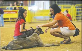  ?? NWA Democrat-Gazette/ANDY SHUPE ?? Leah Karp (right) of Prairie Grove and her daughter, Mila Karp, 10, sit Saturday with their dog, Gracie, during the dog show.