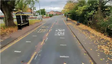  ?? Google Street View ?? ● The location of one of the bus stops on Hale Road that 152 residents want to be removed