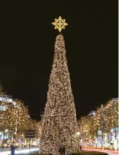  ?? Foto: Paul Zinken, dpa ?? Wenn auf dem Kurfürsten­damm die Weihnachts­beleuchtun­g angeknipst wird, kom men Promis aus Politik, Sport und Showgeschä­ft.