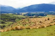  ??  ?? Jericho Station in Southland, managed by Landcorp. Farmer Ed Pinckney says his offer is still on the table now that the Chinese bidder has pulled out.