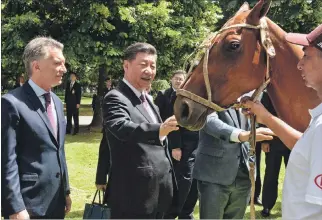  ?? PRESIDENCI­A ARGENTINA / VÍA AFP ?? Acogida. Macri muestra un caballo a Xi, ayer en la residencia presidenci­al de Olivos, al norte de Buenos Aires.