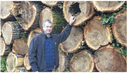  ?? Gaël Arcuset ?? « Plusieurs des arbres que nous avons coupés n’étaient pas en pleine forme et menaçaient, à l’avenir, de tomber », souligne Stéphane Viéban, le directeur général d’Alliance Forêts Bois, venu à Noaillan mercredi 24 janvier 2024.