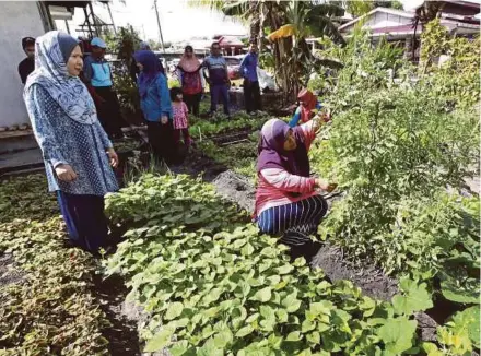  ?? PIC BY MOHD RAFI MAMAT ?? Siti Radhiah Razuan (second from left) getting vegetables for a customer in her garden in Taman Seri Maulana, Pekan, yesterday.