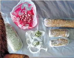  ??  ?? Ministry of Justice officials found drugs including spice and cannabis inside the bodies of dead rats