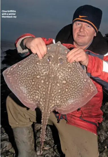  ??  ?? Clive Griffiths with a winter thornback ray