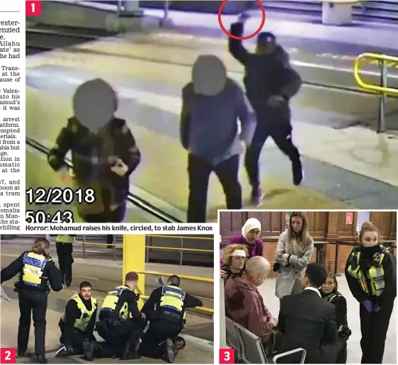  ??  ?? Horror: Mohamud raises his knife, circled, to stab James Knox
Downed: A ranting Mohamud is subdued and handcuffed by police
Wounds: Anna Charlton and Mr Knox are comforted 1 3 2