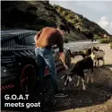  ??  ?? G.O.A.T meets goat