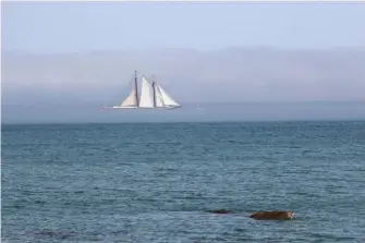  ??  ?? Rob Jameson watched as the Bluenose sailed out of a band of advection fog on Port Mouton Bay NS Tuesday afternoon. It doesn’t get much more Maritime than that!