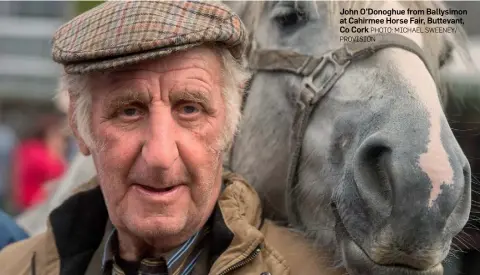  ?? PHOTO: MICHAEL SWEENEY/ PROVISION ?? John O’Donoghue from Ballysimon at Cahirmee Horse Fair, Buttevant, Co Cork