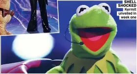  ??  ?? Muppet.
SHELL SHOCKED Kermit unveiled in week one