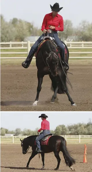  ??  ?? TOP: Use your legs to move your horse’s body laterally for a smooth lead change. If you feel your horse lean into your leg, stop and sidepass him away from the pressure. BOTTOM: If your horse begins to build speed through the line, immediatel­y take him...