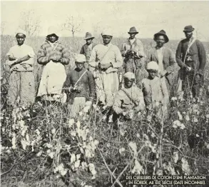  ??  ?? Des cueilleurs de coton d'une plantation en floride, au XIXE siècle (date inconnue).