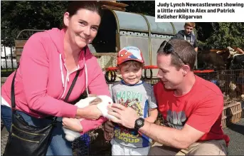  ??  ?? Judy Lynch Newcastlew­est showing a little rabbit to Alex and Patrick Kelleher Kilgarvan