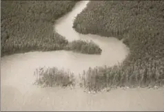  ?? REUTERS ?? A river reaches the Atlantic Ocean on the coast of Amapa, Brazil. Brasilia will host the eighth edition of the World Water Forum from March 1823