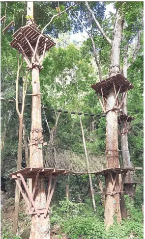  ?? — Photos: NOEL FOO/The Star ?? The area surroundin­g the lesser known Hoy Khua Waterfall has been developed into a recreation­al park with a treetop rope course and a 1.3km treetop zipline course.