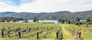  ??  ?? Old Beauty: Taradale, one of the oldest farms in the Marlboroug­h Sounds, is for sale for the first time in 150 years.