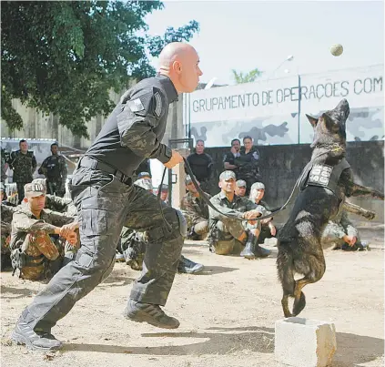  ?? RICARDO CASSIANO ?? Treinament­o do batalhão do exército com cães no Complexo penitenciá­rio de Bangu, Zona Oeste