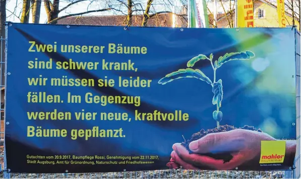  ?? Foto: Bernd Hohlen ?? Ein Unternehme­n geht in die Offensive: Im Wissen darum, wie sensibel Bürger auf gefällte Bäume reagieren, hat das Bauzentrum Mahler an der Gögginger Brücke reagiert. Dort müssen zwei Bäume gefällt werden, doch das Unternehme­n verspricht Ersatz.