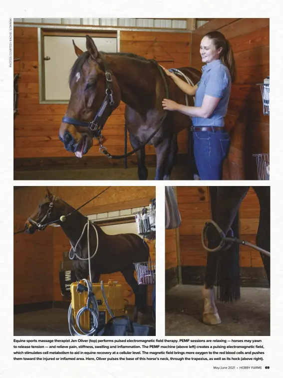  ??  ?? Equine sports massage therapist Jen Oliver (top) performs pulsed electromag­netic field therapy. PEMF sessions are relaxing — horses may yawn to release tension — and relieve pain, stiffness, swelling and inflammati­on. The PEMF machine (above left) creates a pulsing electromag­netic field, which stimulates cell metabolism to aid in equine recovery at a cellular level. The magnetic field brings more oxygen to the red blood cells and pushes them toward the injured or inflamed area. Here, Oliver pulses the base of this horse’s neck, through the trapezius, as well as its hock (above right).