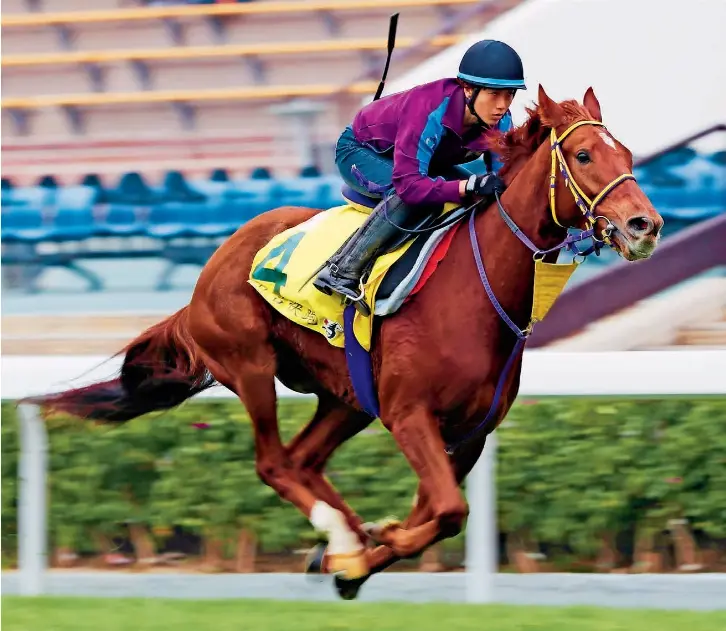 Hong Kong dreams for Donki PressReader