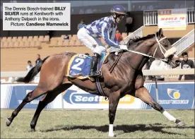  ?? The Dennis Bosch-trained runs at Kenilworth with Anthony Delpech in the irons. Picture: SILVER BILLY Candiese Marnewick ??