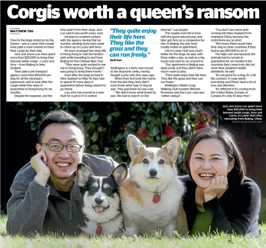  ?? PHOTO: KEVIN STENT/STUFF ?? Jack and Joyce Luo spent more than $20,000 to bring their beloved welsh corgis, Amy and Lucky, to Lower Hutt after relocating from Beijing, China.