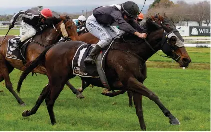  ??  ?? Tauranga Classic on the cards for Rosewood tomorrow.
Photo: Peter Rubery