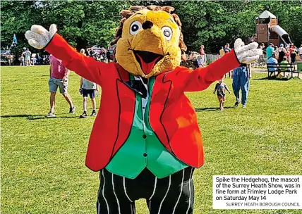  ?? SURREY HEATH BOROUGH COUNCIL ?? Spike the Hedgehog, the mascot of the Surrey Heath Show, was in fine form at Frimley Lodge Park on Saturday May 14