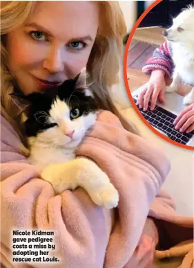  ?? ?? Nicole Kidman gave pedigree costs a miss by adopting her rescue cat Louis.