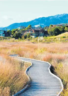  ?? Photo / Rosalie Willis ?? A walkway through the Waikanae Estuary.