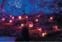  ?? Jake Fabricius ?? PUMPKINS are the star at Cal Poly Pomona, top, at Mr. Bones Pumpkin Patch (selfie takers like Yohaira Herrera encouraged) and at Descanso Gardens’ “Carved,” where night is lighted by hundreds of jack o’lanterns.